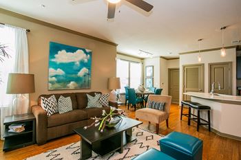 Aliso briar forest apartments living room